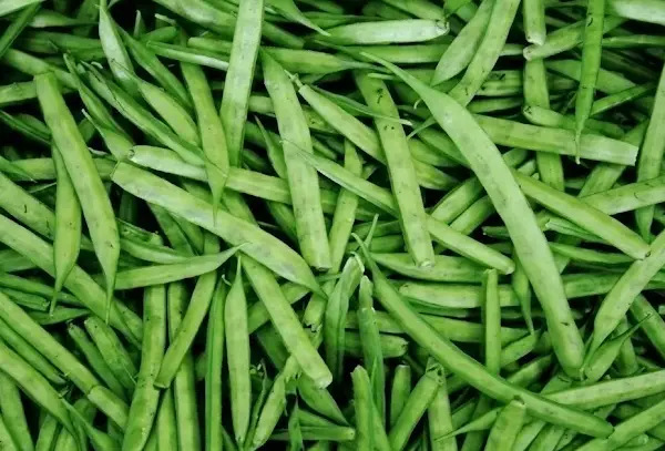 Guar Gum